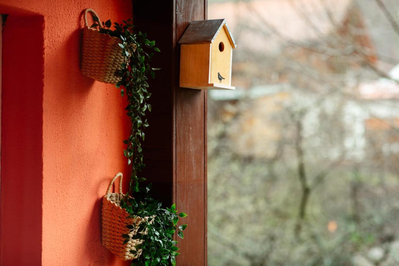 Home & Garden With Stunning View سِنايا المظهر الخارجي الصورة